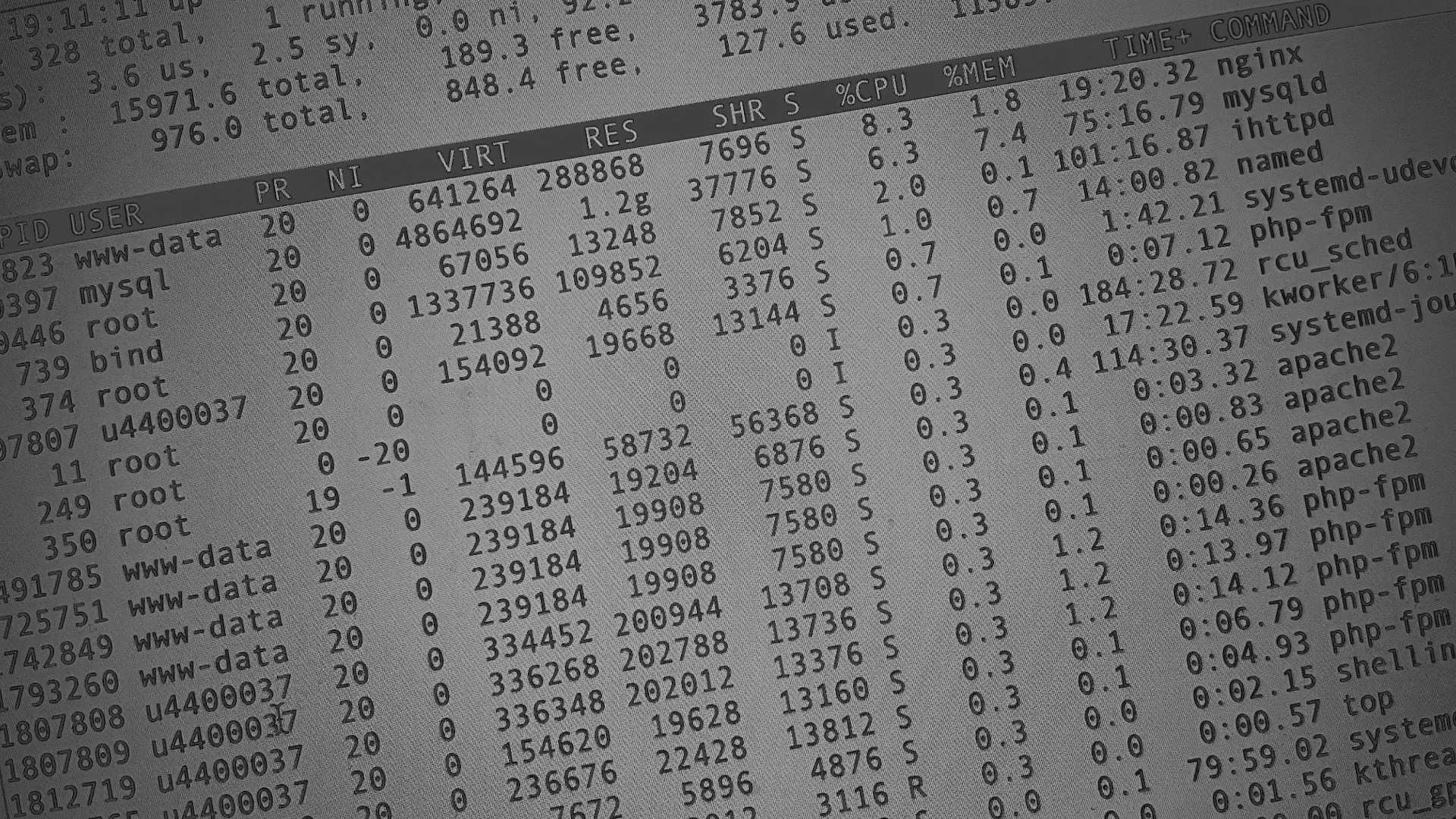 Настройка сервера в Ворсме